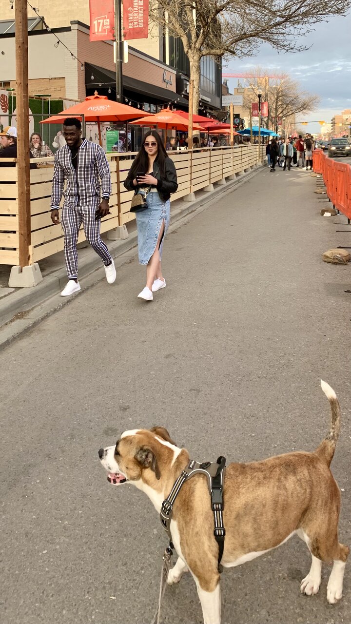 A98A5508-2238-4F17-9591-21606A6D838E.jpeg