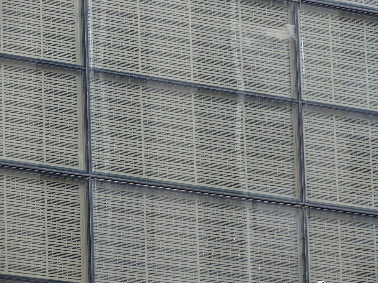 AB55E680-2899-42EF-9B93-64868BF9ED95.jpeg