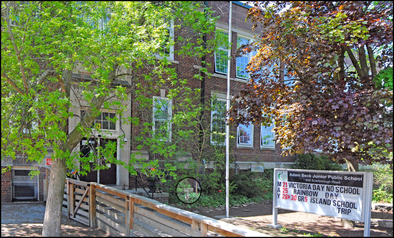 Adam Beck School 2018.jpg
