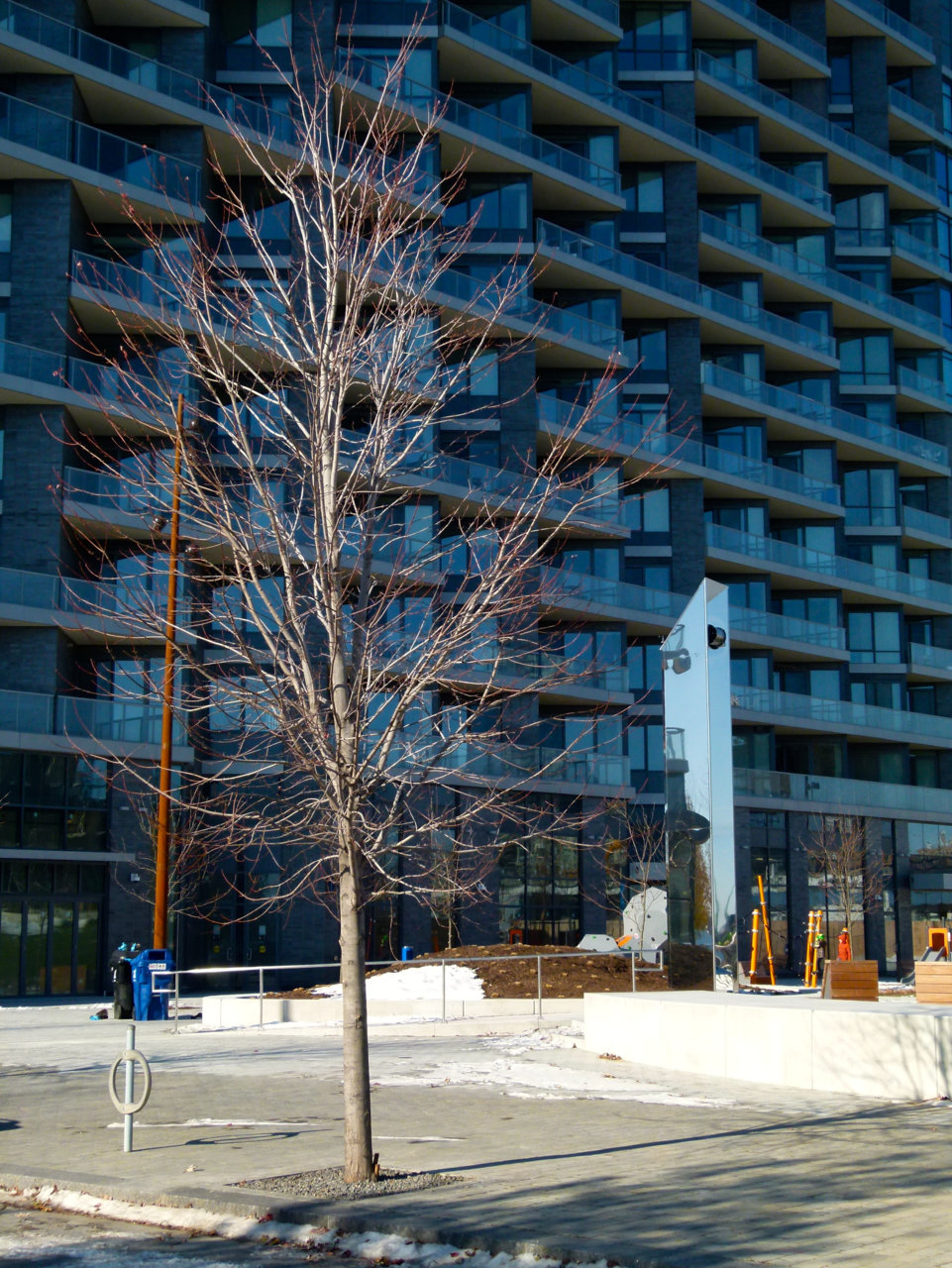 Aitken-1.jpg