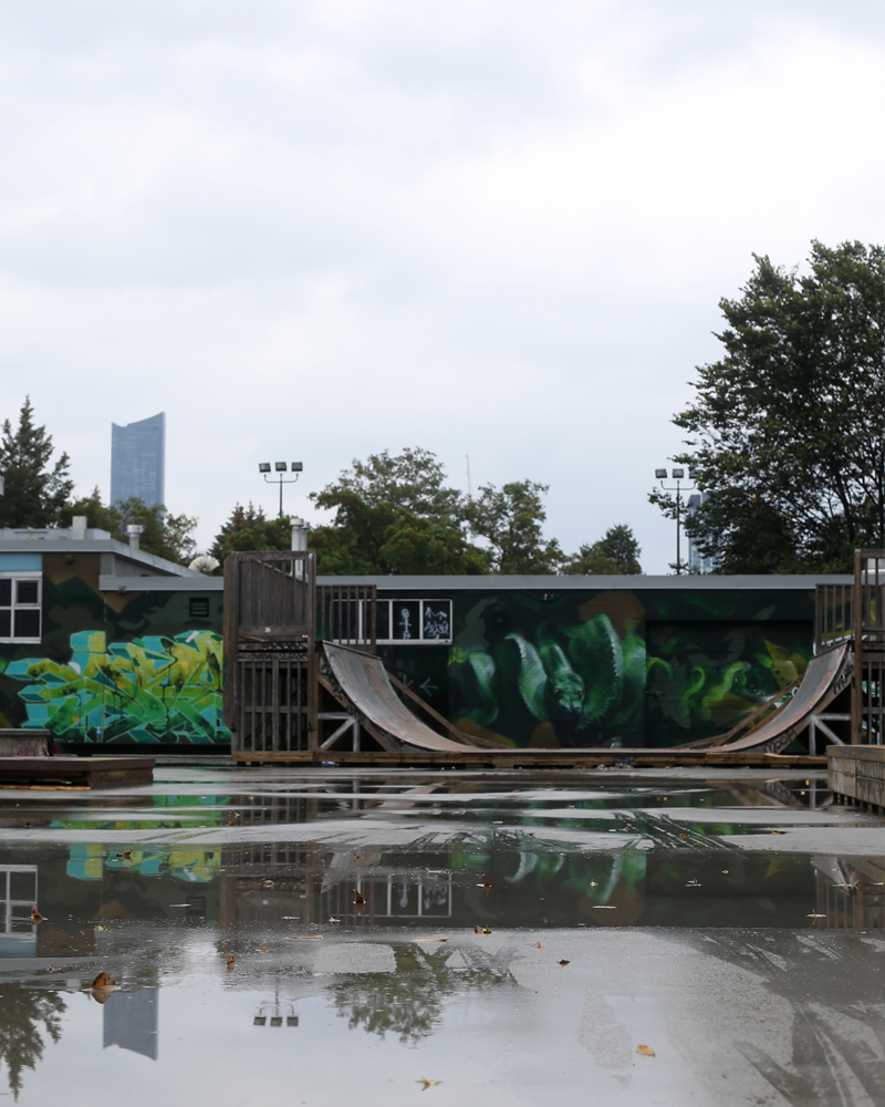 aura_skatepark_oct15.png