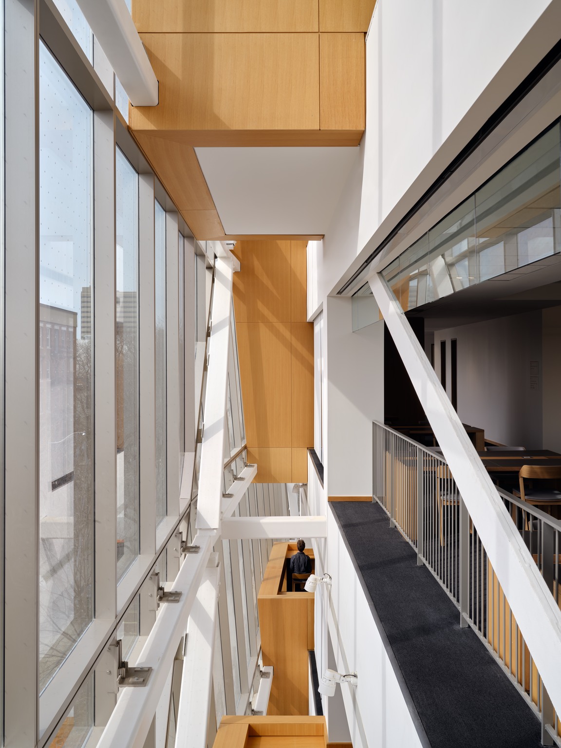 Azure-DiamondSchmitt-RobartsCommon-RobartsLibraryaddition-7.jpg