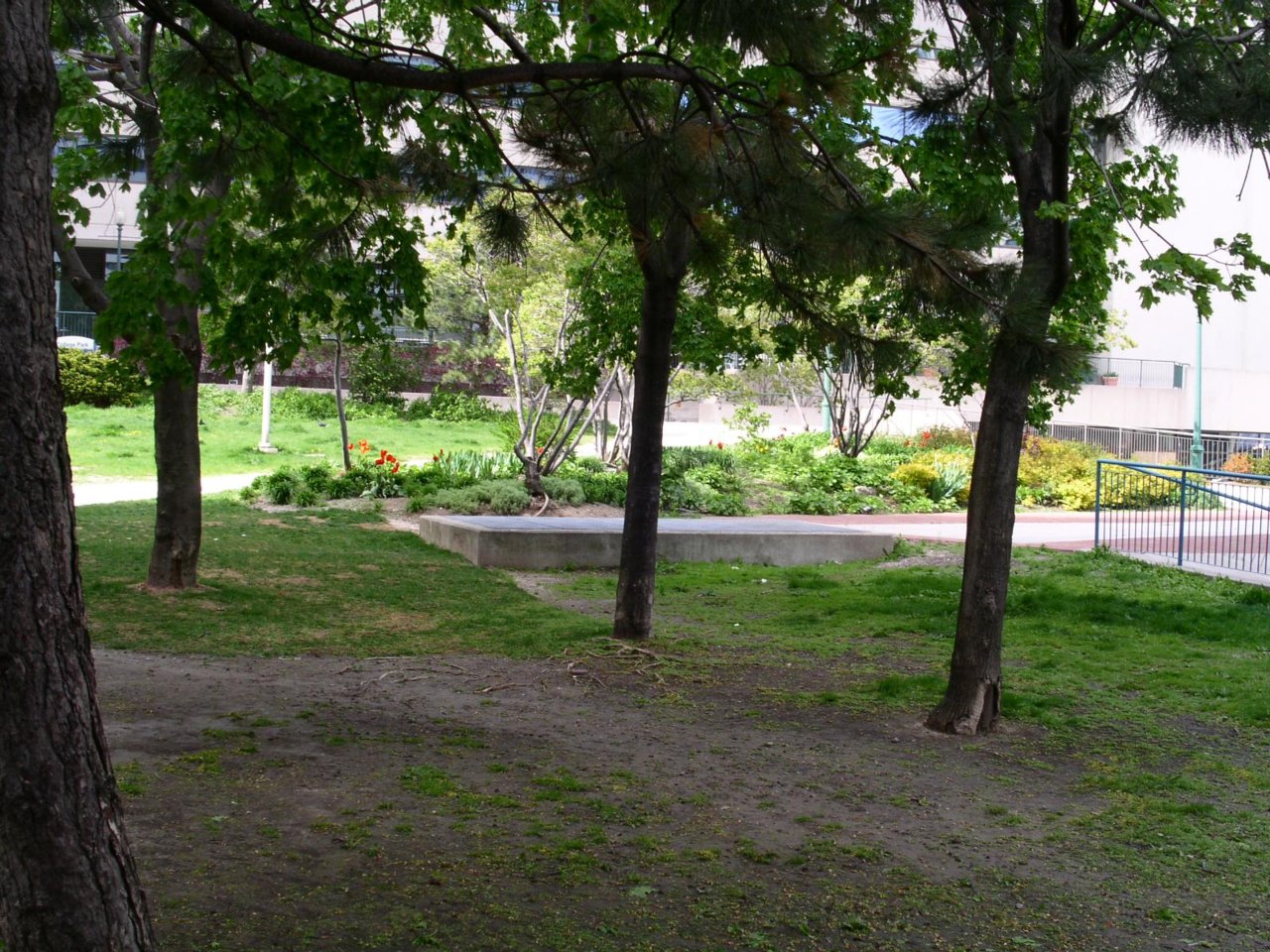 Barbara Ann Scott Park-College Park12_May10-09.jpg