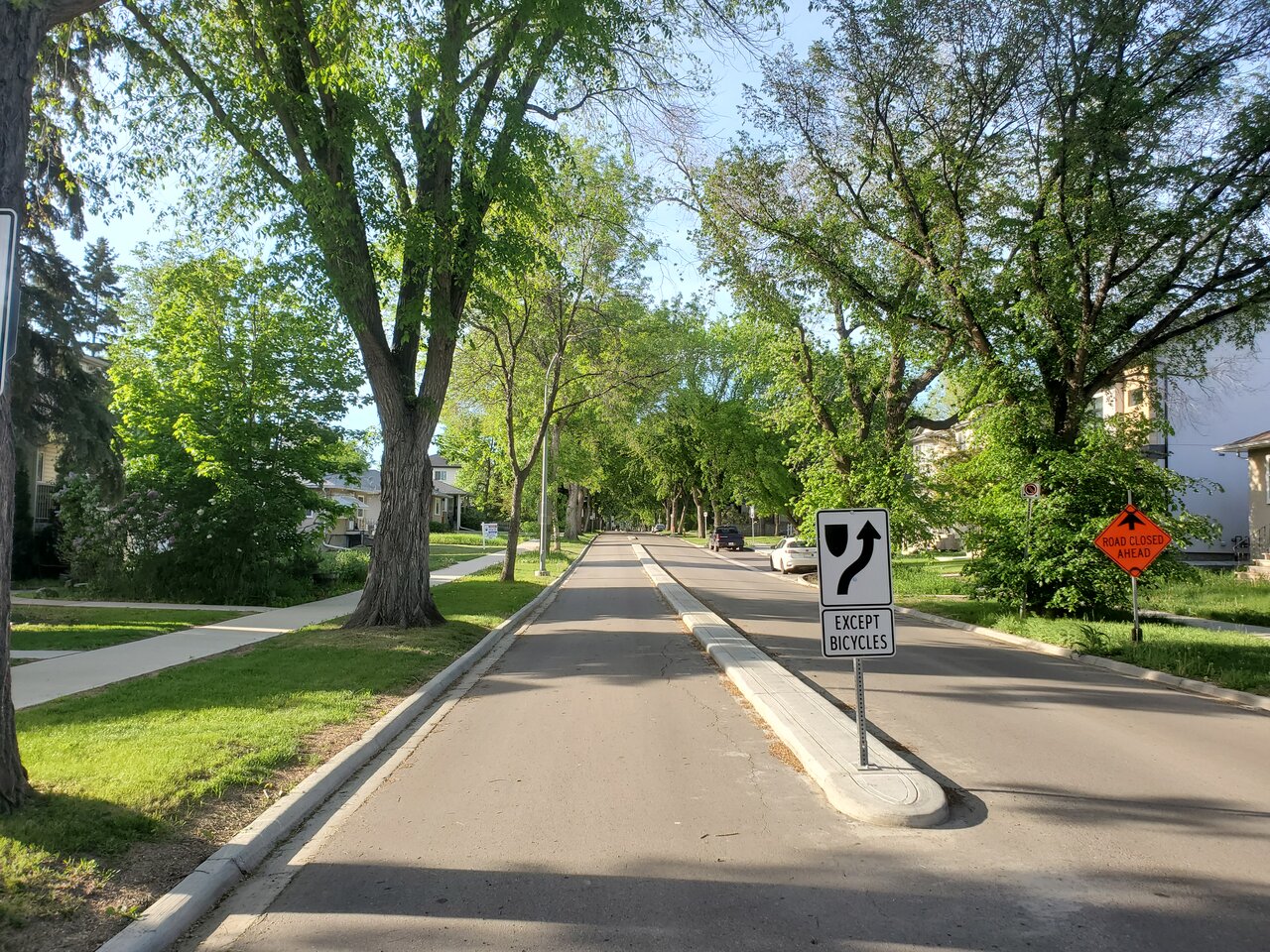 bike lane 2.jpg