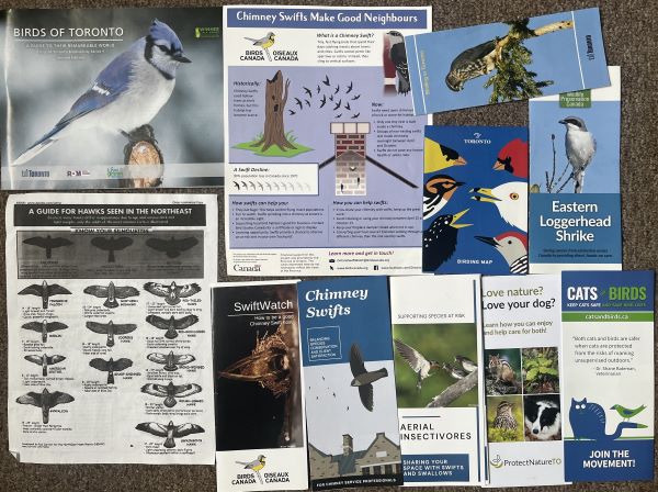 BirdFest(2).JPG