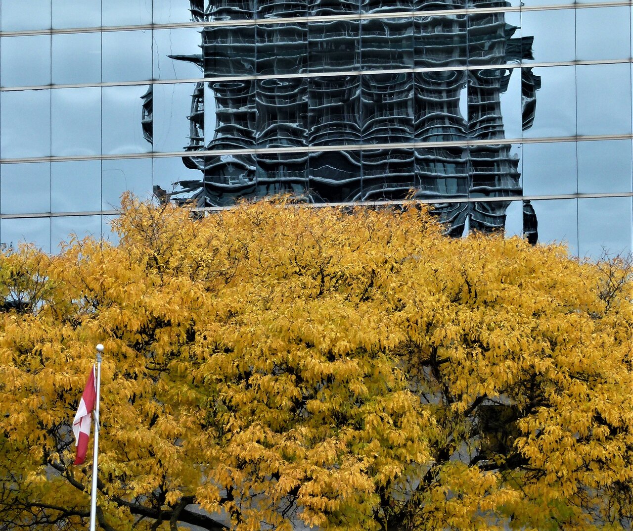 Bloor6.jpg