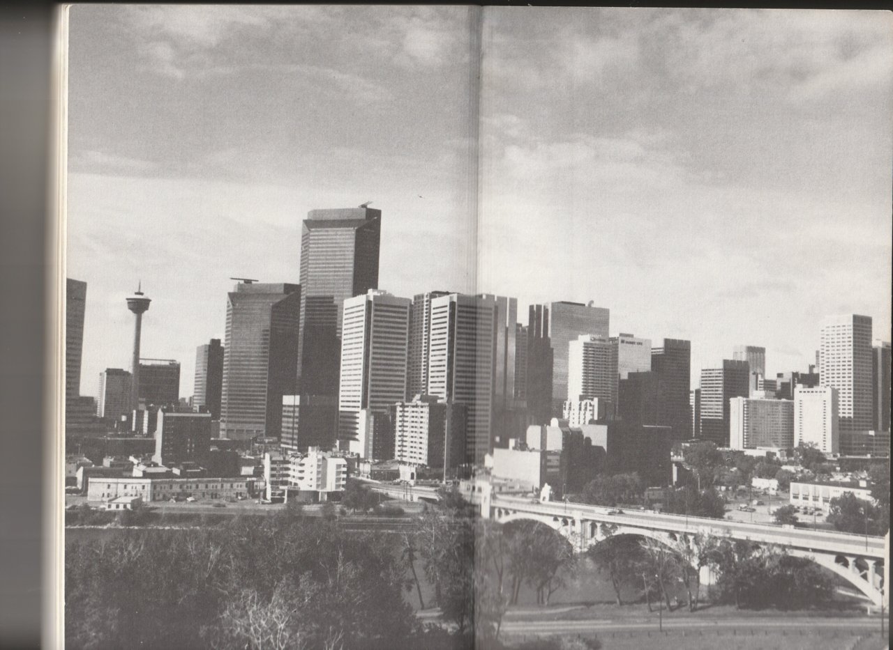 Boom Years - 1982.jpg