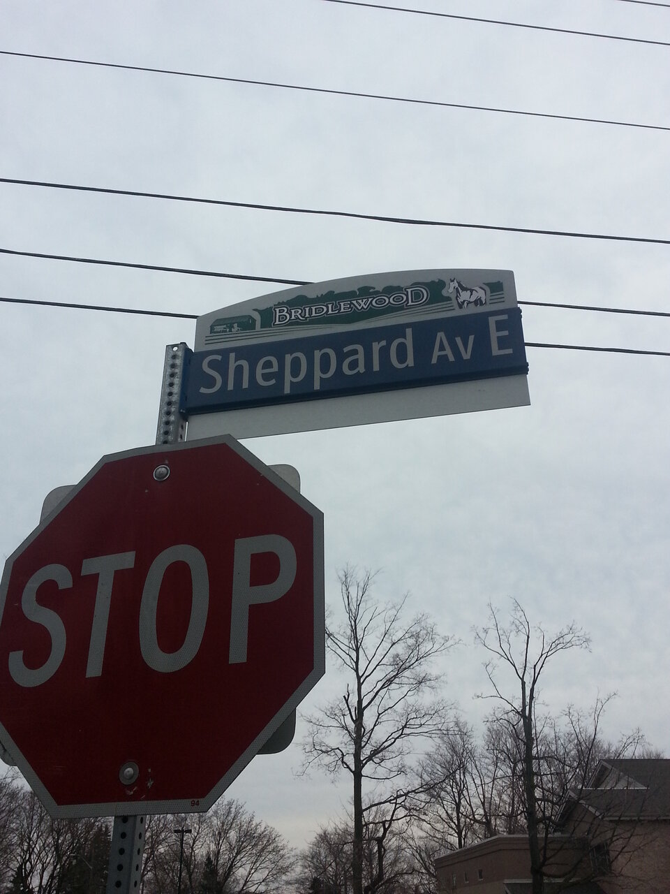 bridlewood-sheppard-avenue.jpg