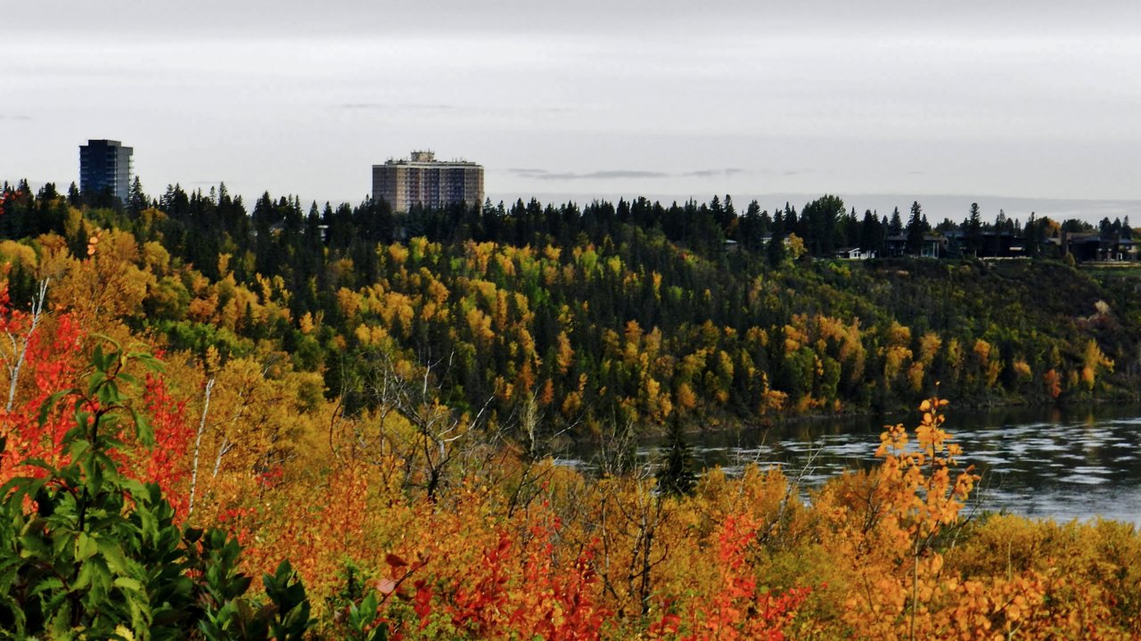Buena Vista Park, Valleyview Cr. 2019-09-29 080.JPG