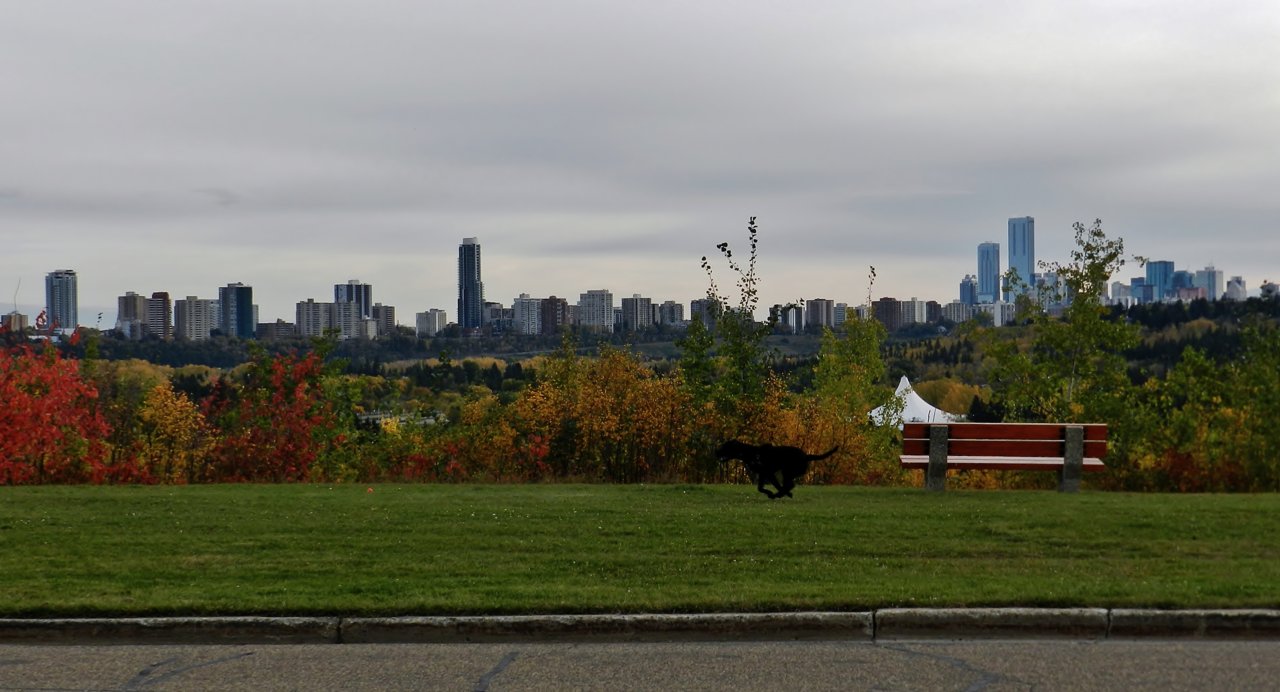 Buena Vista Park, Valleyview Cr. 2019-09-29 086.JPG