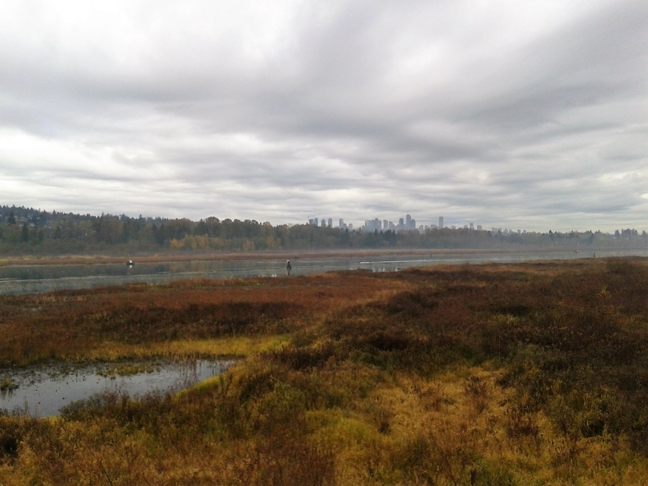 BurnabyLakeMetrotown.jpg