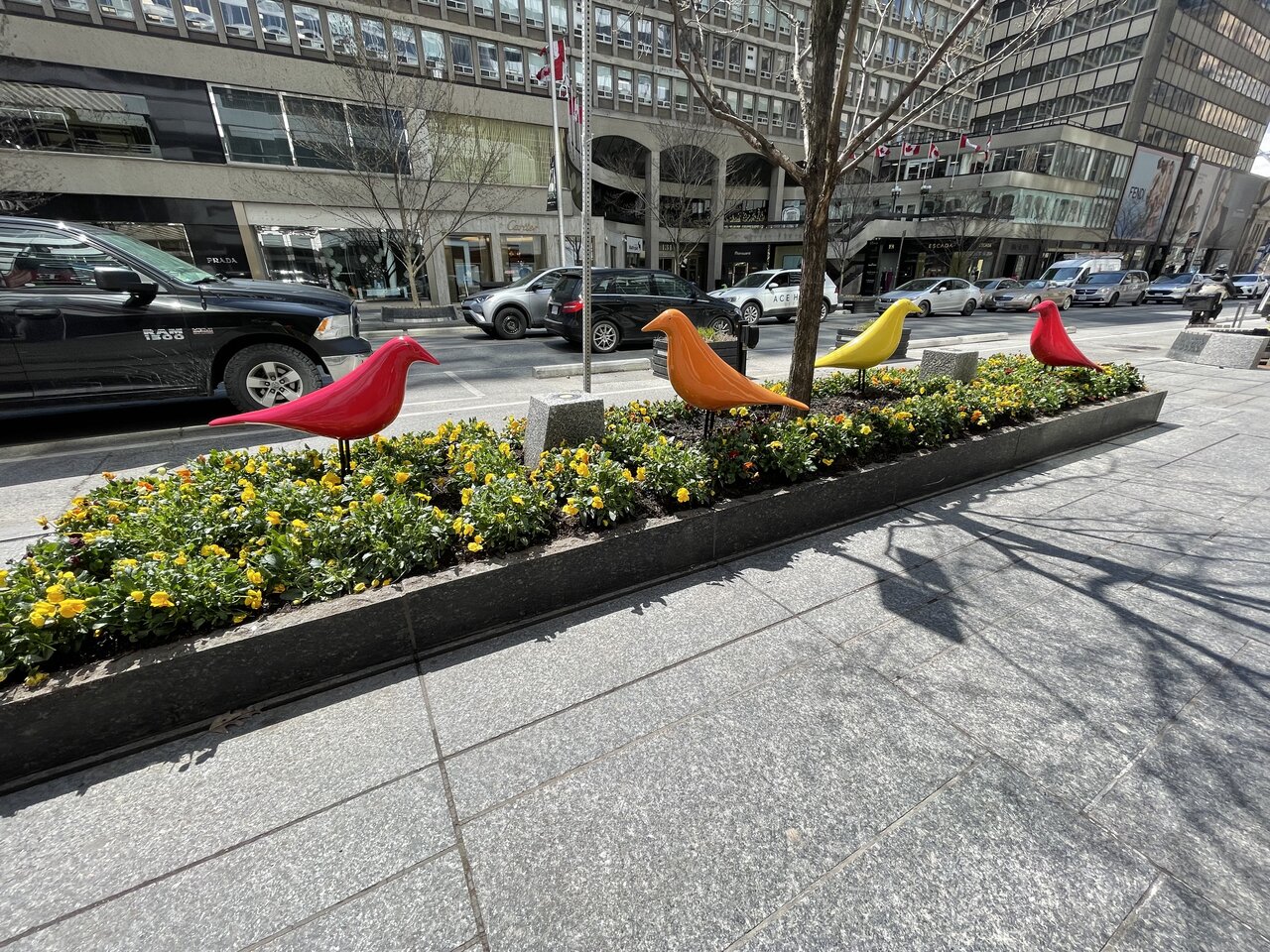 C63B271D-8213-43EA-A24F-7BB51ADE1DDB.jpeg
