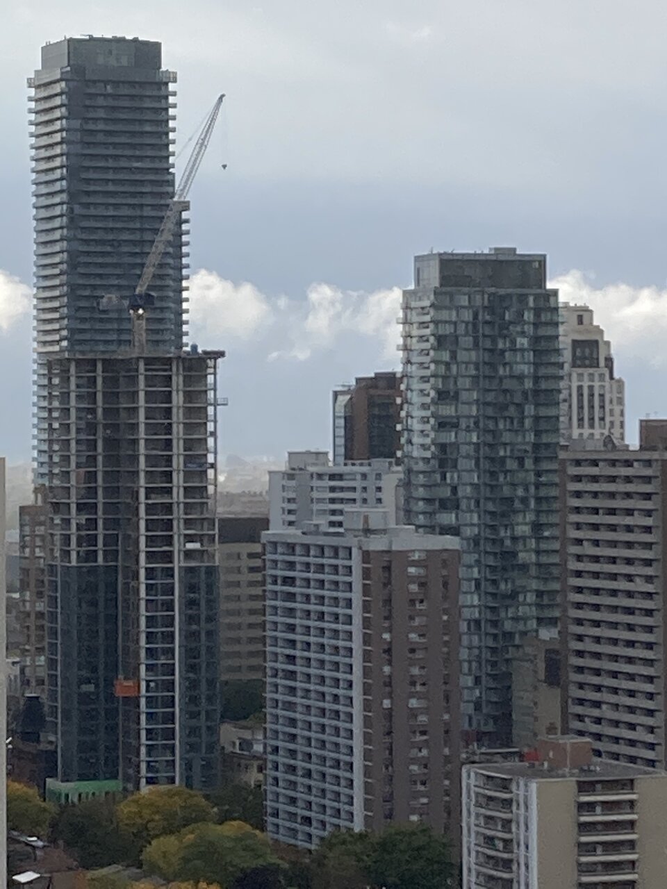 C63BDC92-A0D0-4898-8898-AB9DA32C2588.jpeg