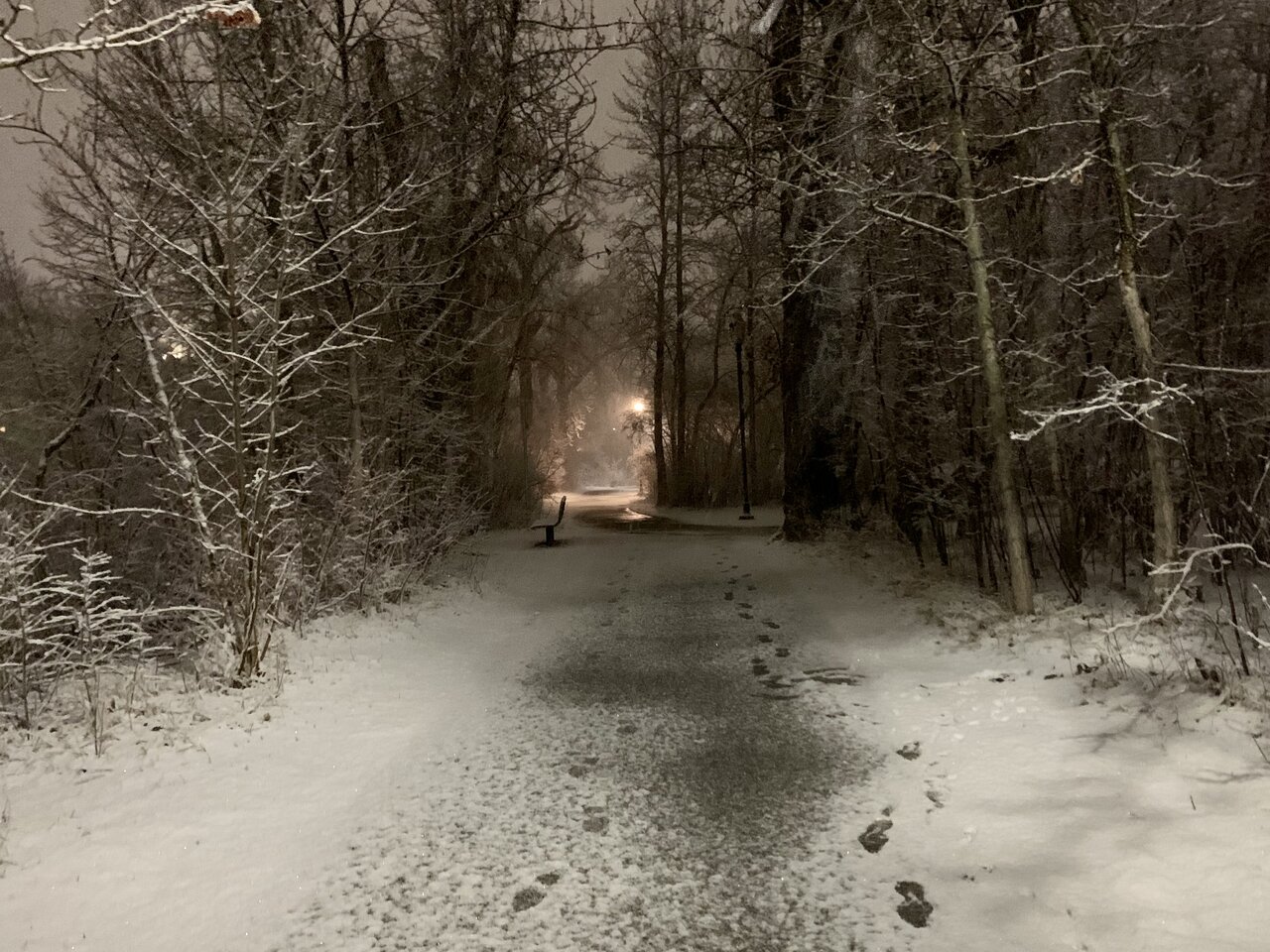 C786D6FD-9C13-4D49-A71D-E6007FFB0E9B.jpeg