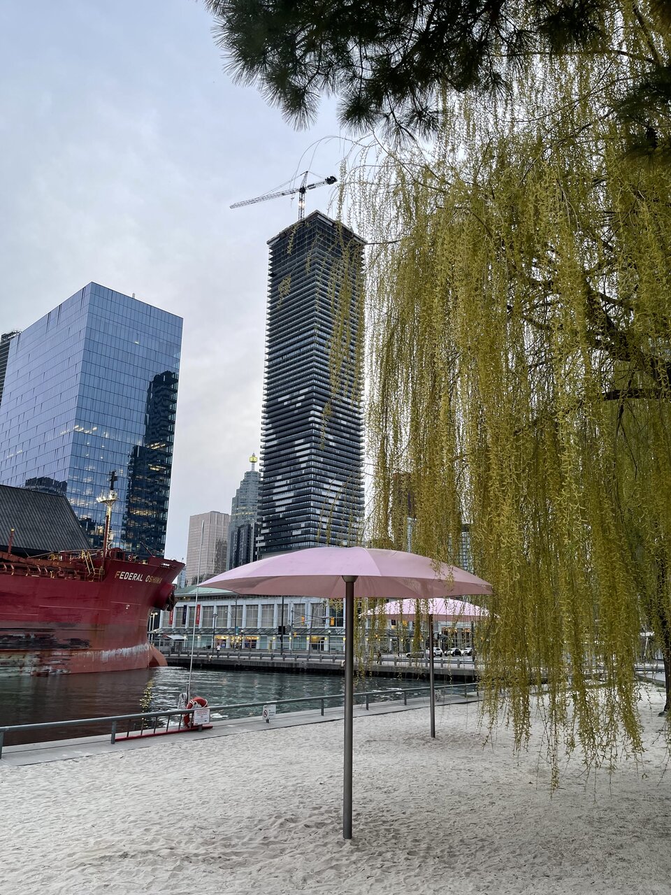 C90720B5-4EFC-4F7E-973D-938E89D2C45D.jpeg