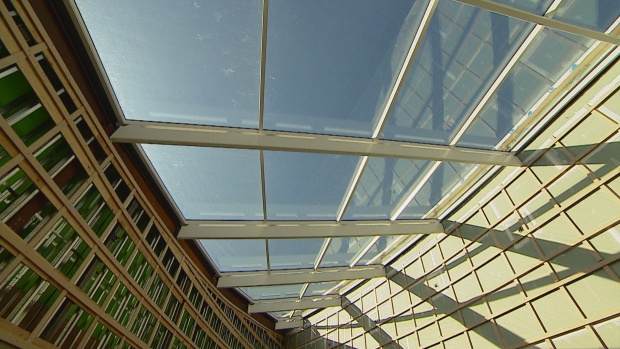 calgary-central-library.jpg