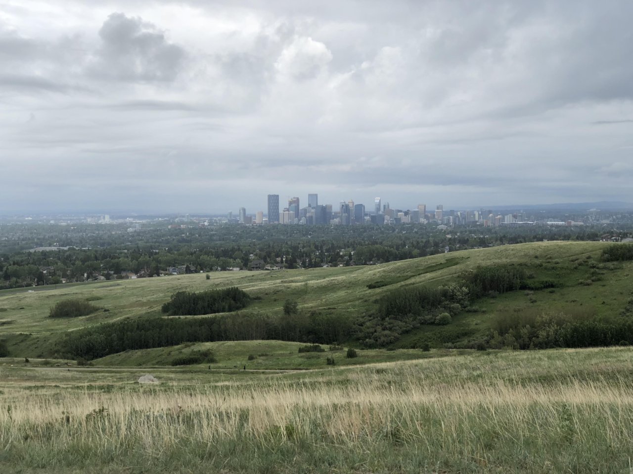 Calgary7.jpg