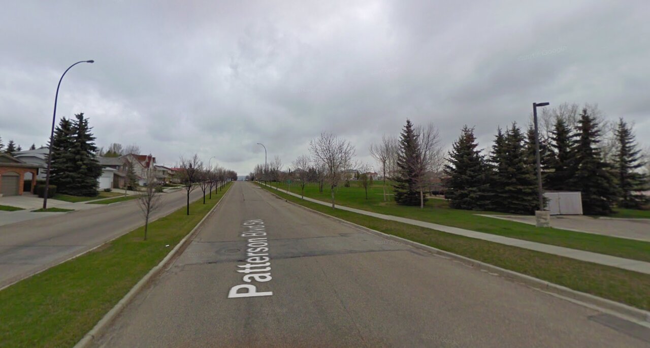 calgary_trees1.jpg