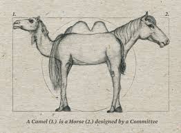 camel.jpg