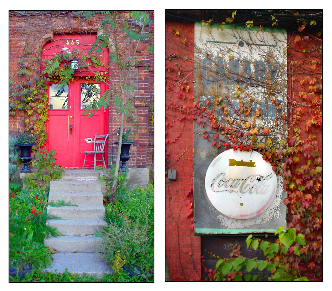 Canary & old school details 2012.jpg
