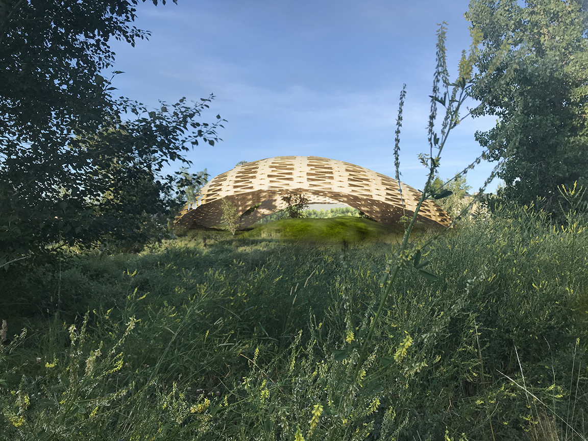 Canopy 2.jpg