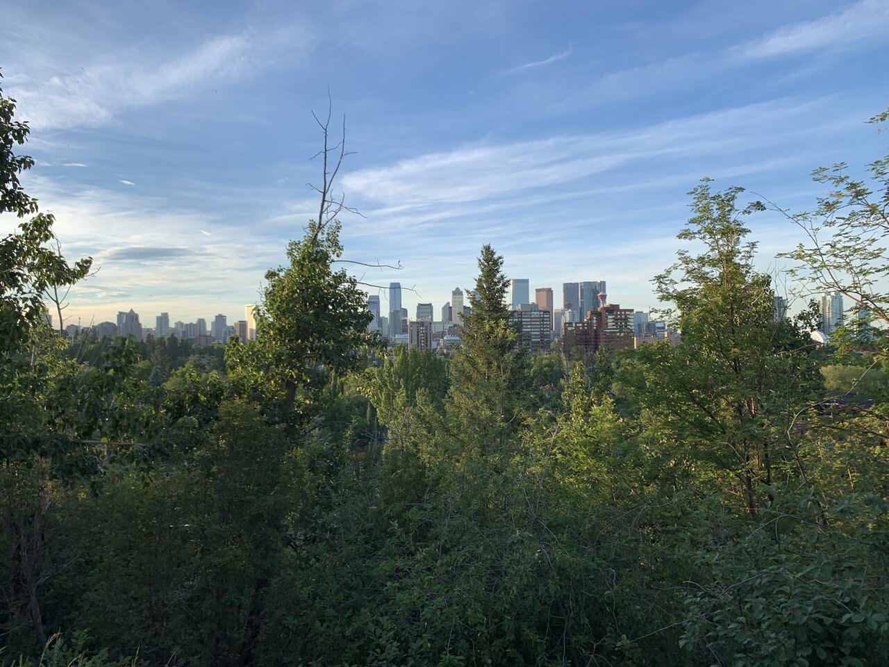CCC7D11C-034F-42C4-B404-A059059D8A33.jpeg