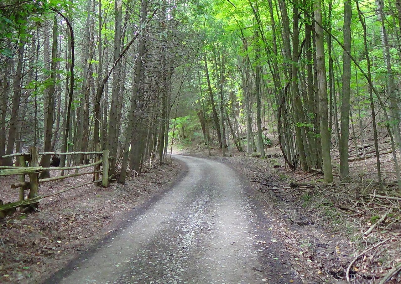 Centre_Rd_(Hurontario_St)_Mulmur_Ontario.jpg