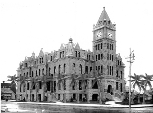 city hall palm.PNG