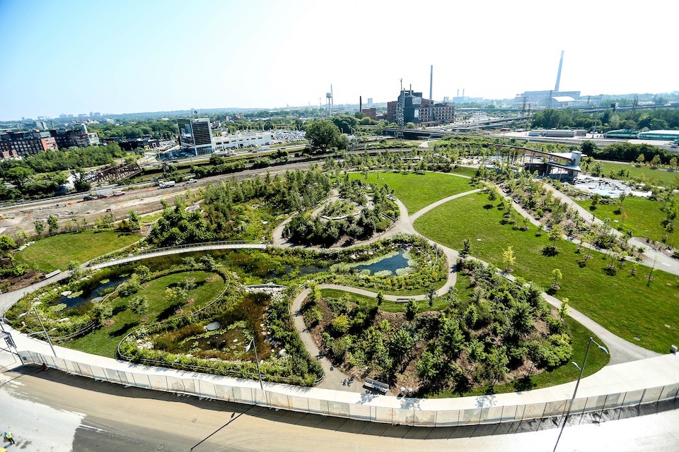 CorktownCommon.jpg