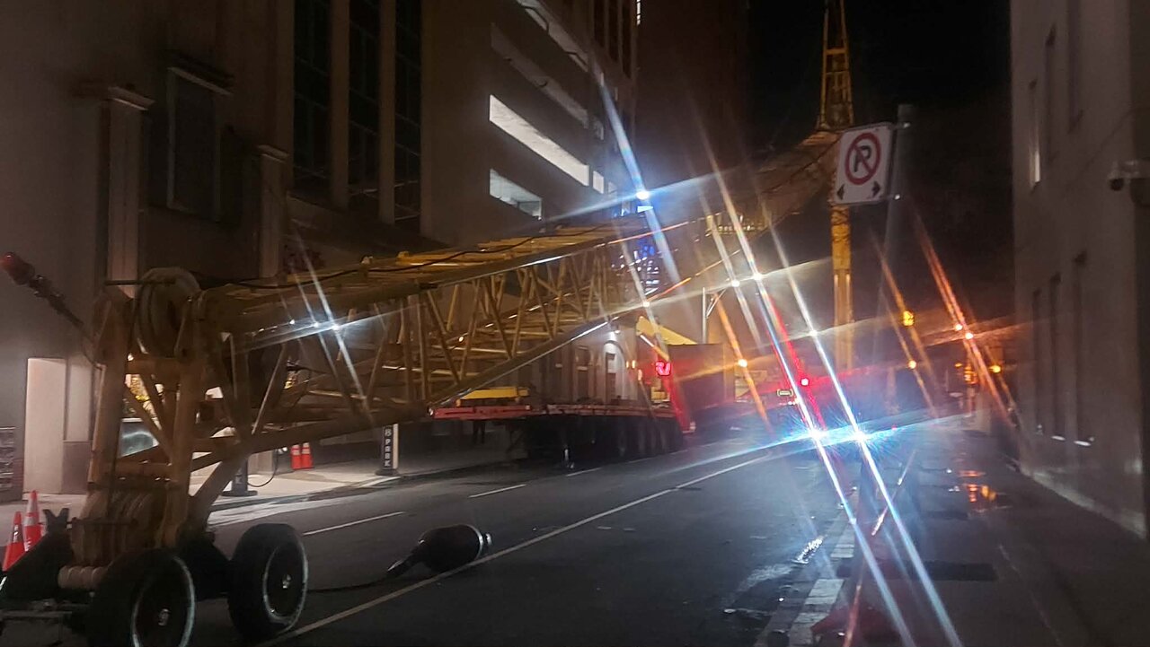 Crane1.jpg