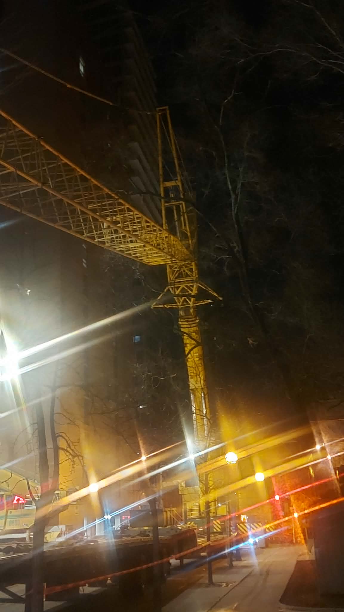 Crane2.jpg