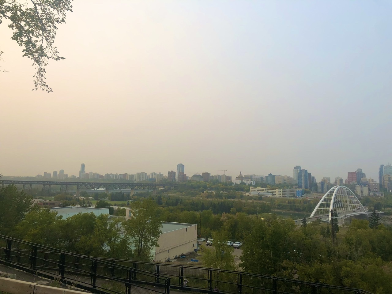 D7065D06-C0D8-41E7-8F9C-F2C2EE14EB5D.jpeg