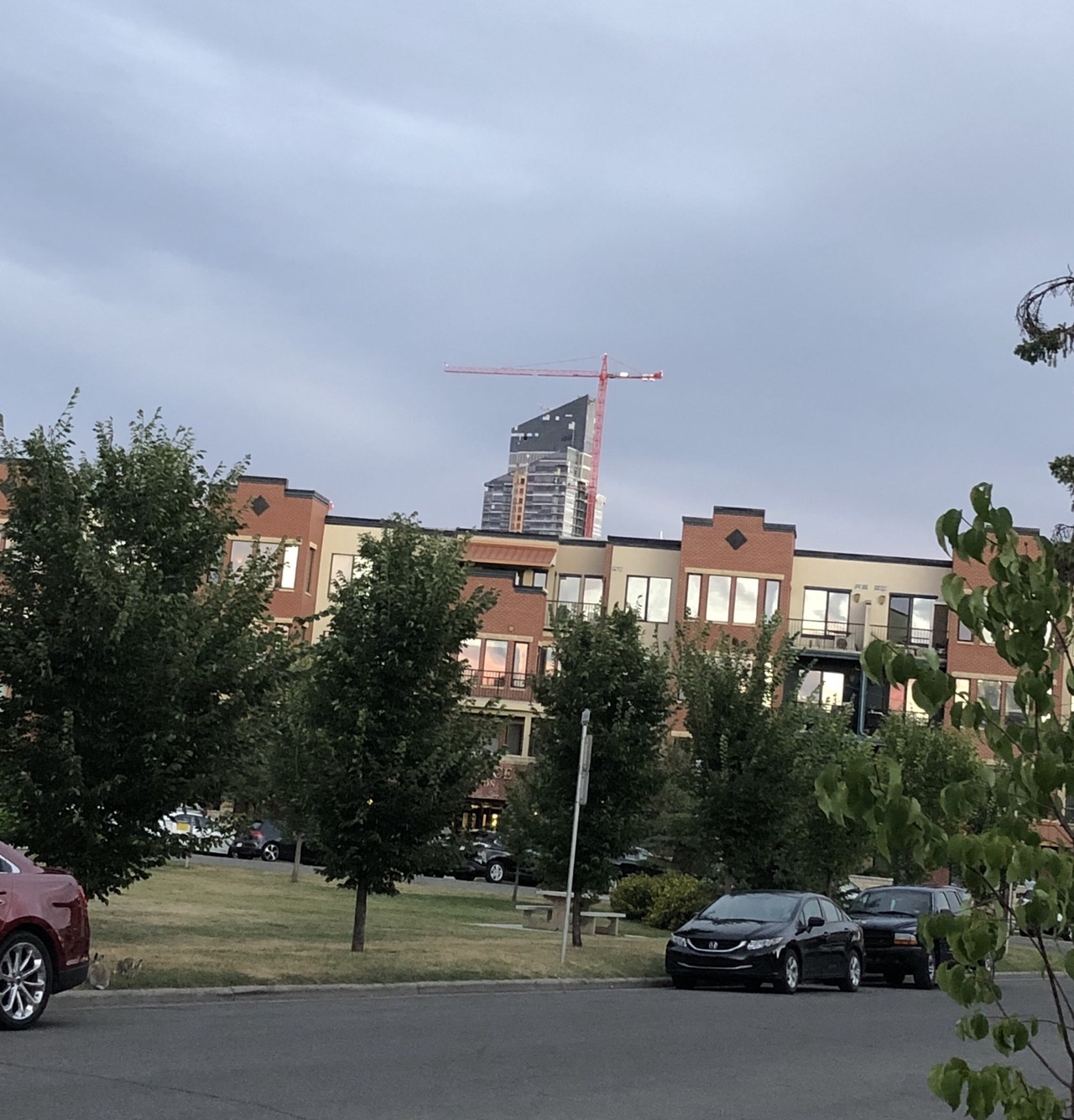 D7765289-FA69-48D1-9E43-154C6392DF08.jpeg
