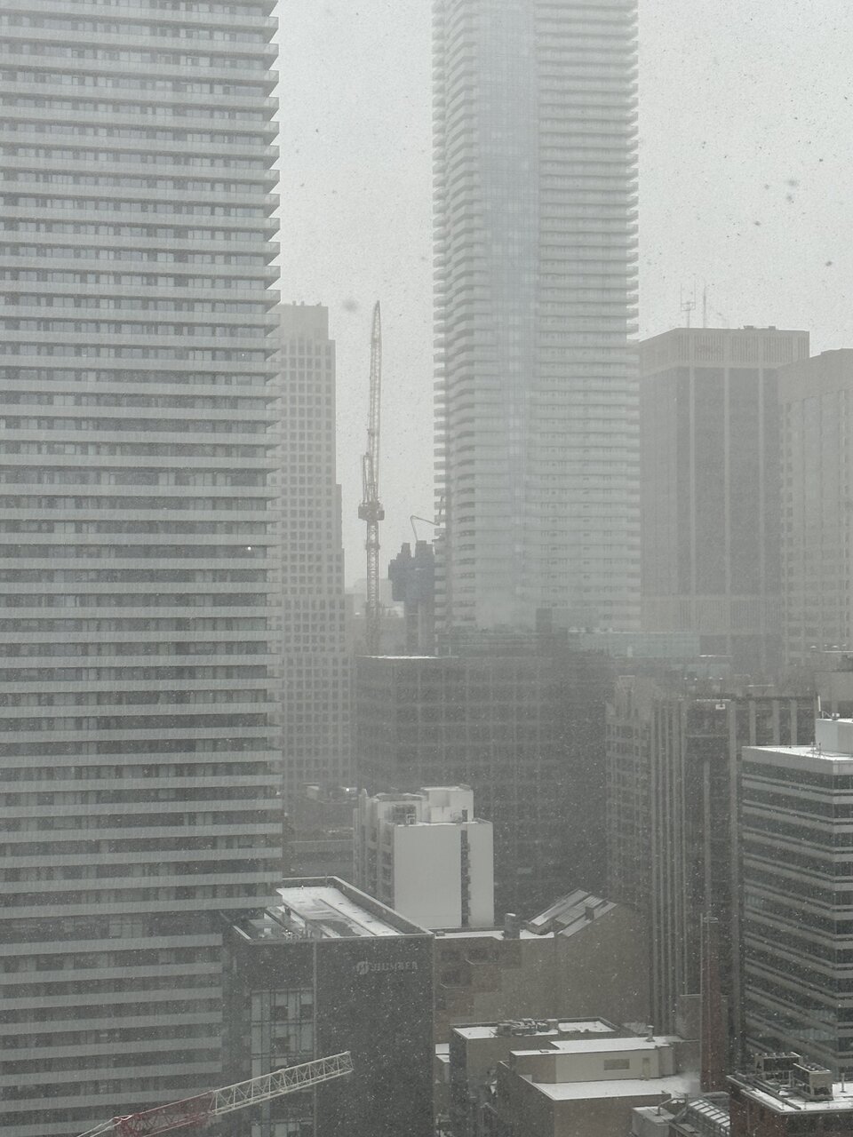 D9A44570-891E-493C-B34D-08DE56A09D36.jpeg