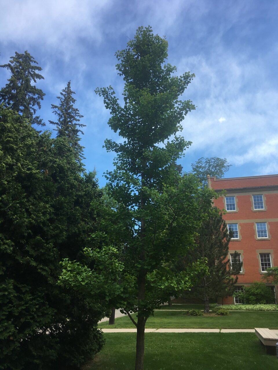 DB2FBEEC-D86E-404B-83D0-CC81D04EF0D6.jpeg