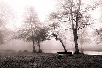 december-fog-landscape-nature-winter-landscape-tree-france-mist-winter-thumbnail.jpg