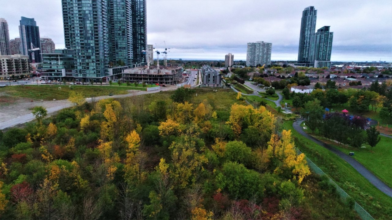 DJI_0036.JPG