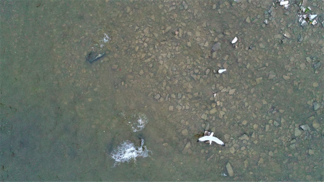 DJI_0075.JPG