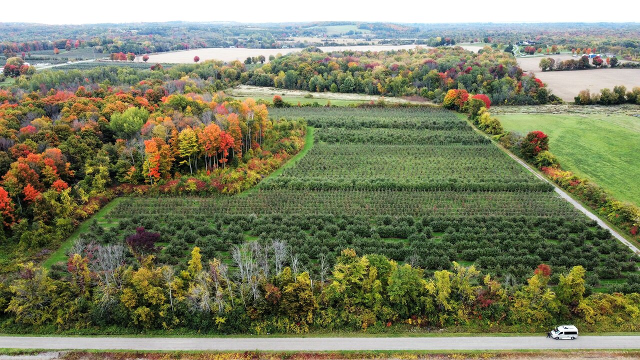 DJI_0084.JPG