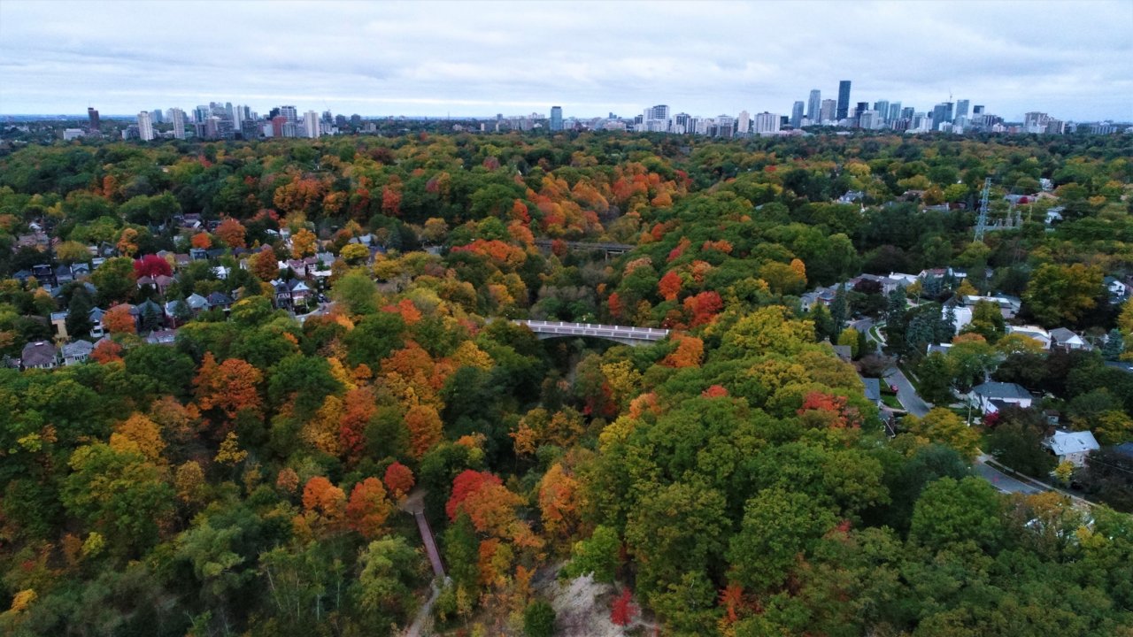 DJI_0104.JPG