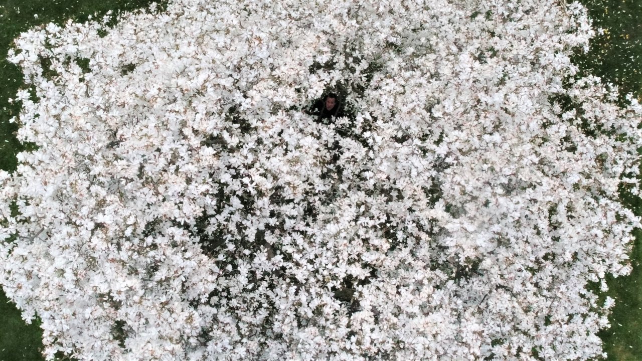 DJI_0151.JPG