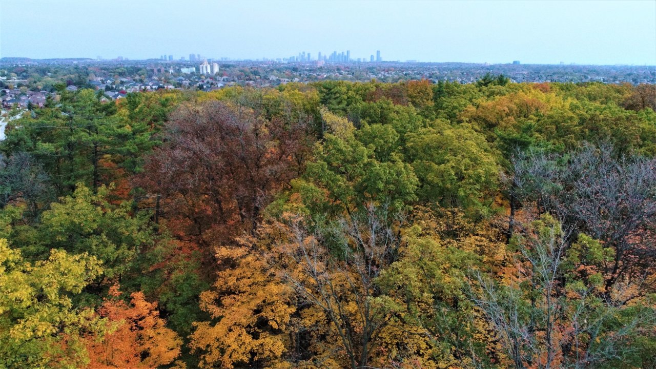 DJI_0199.JPG