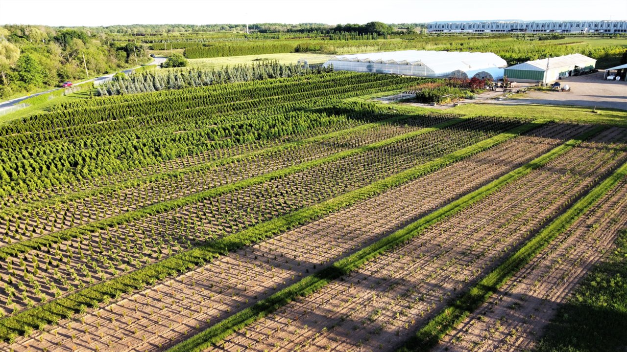 DJI_0206.JPG