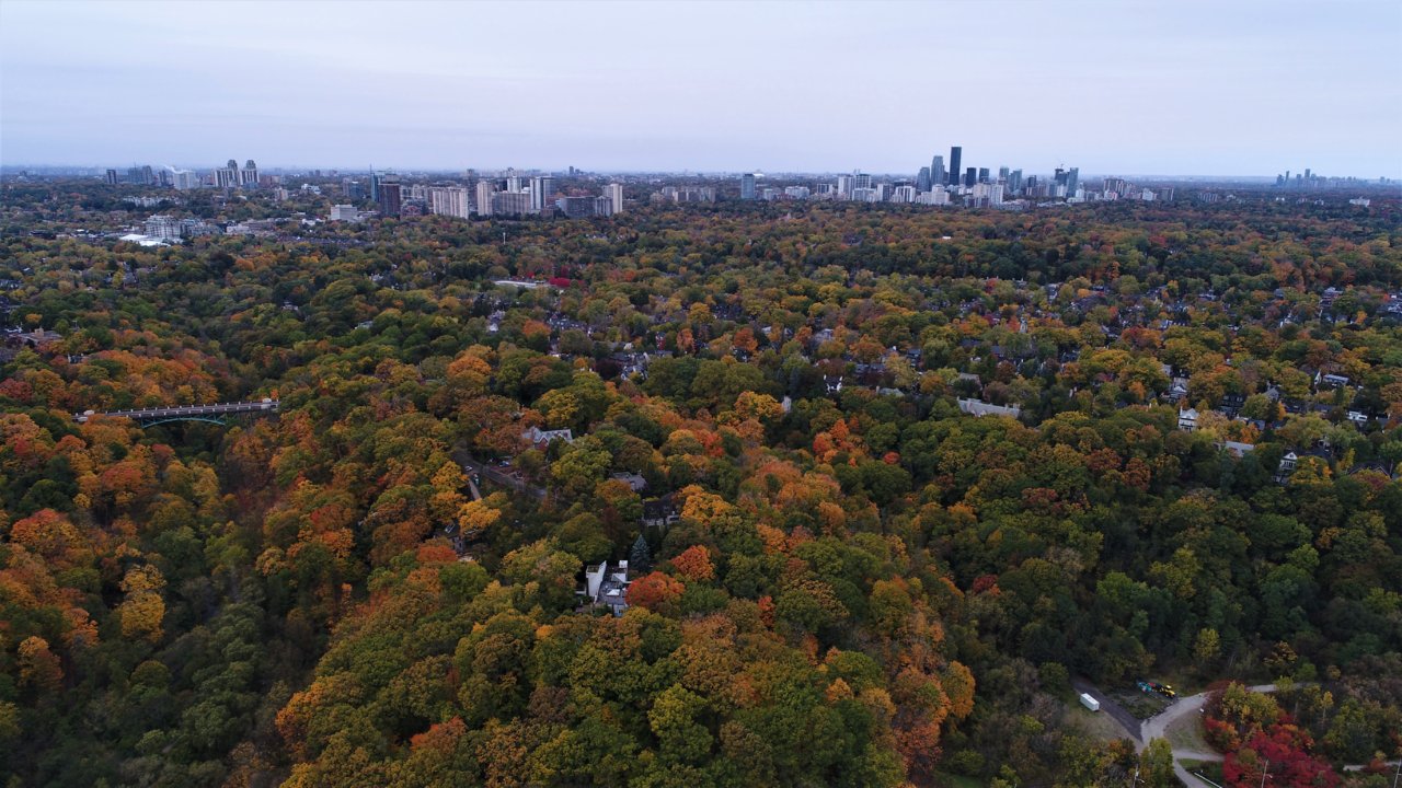 DJI_0209.JPG