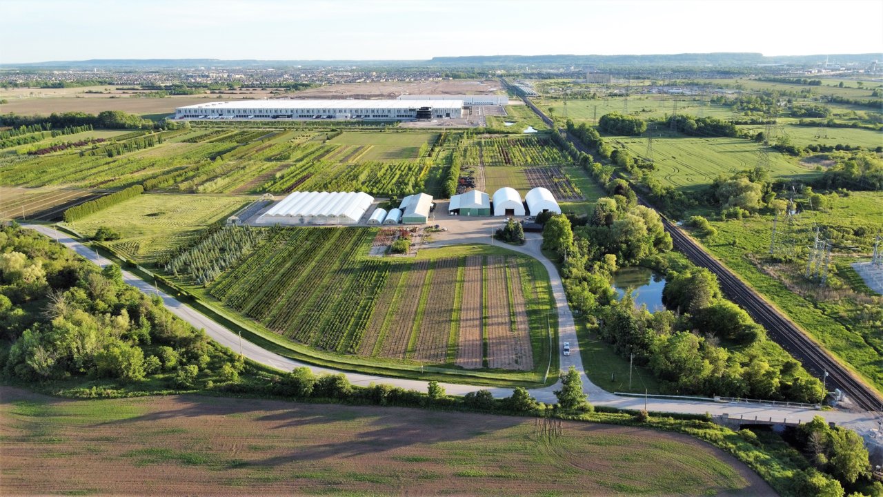 DJI_0216.JPG
