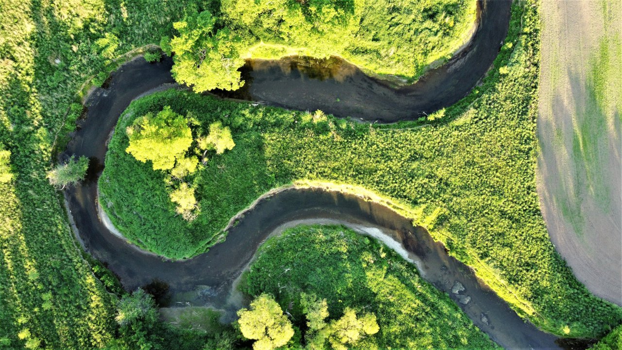 DJI_0221.JPG