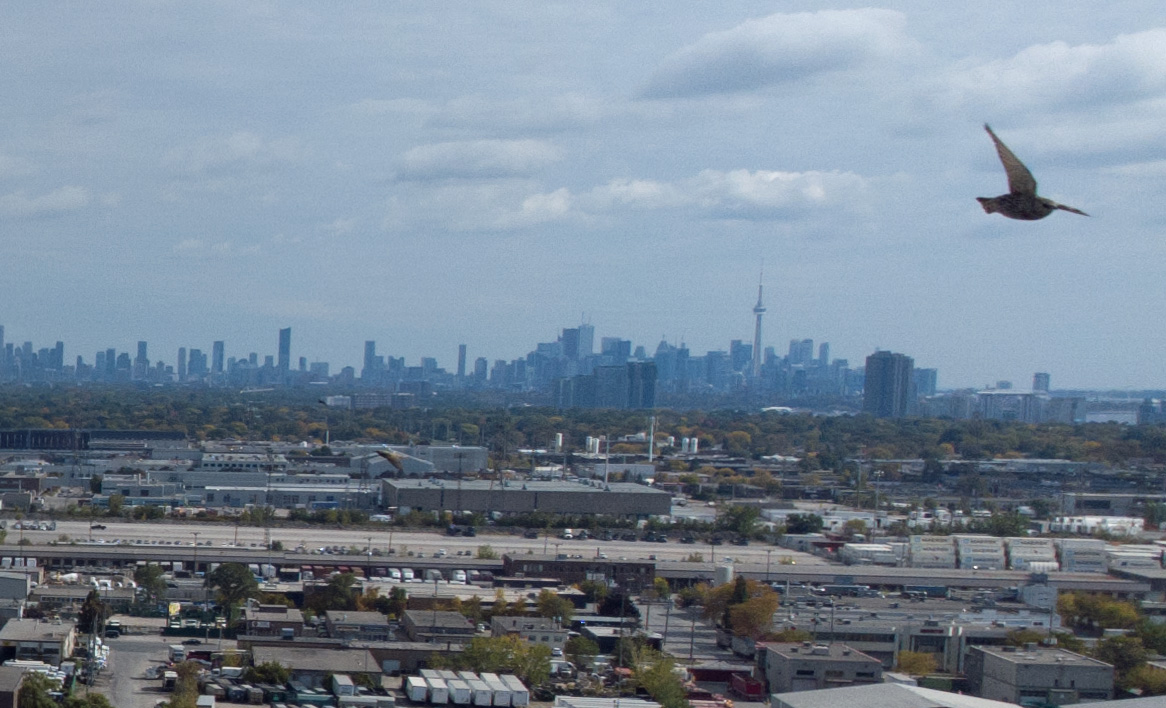 DJI_0470ce.jpg