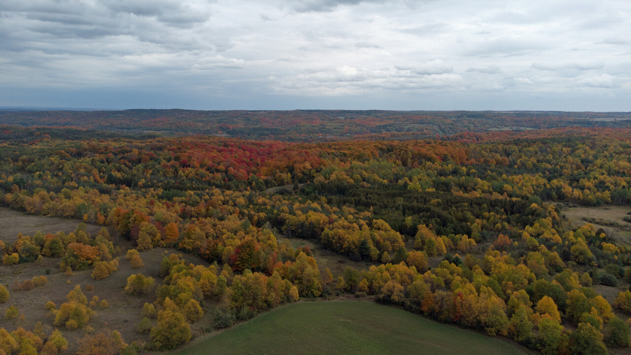 DJI_0499e.jpg
