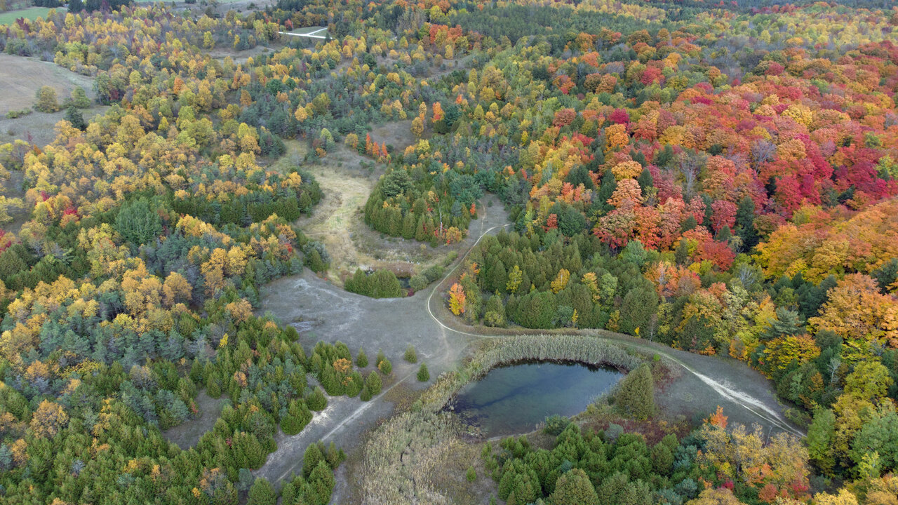 DJI_0505e.jpg