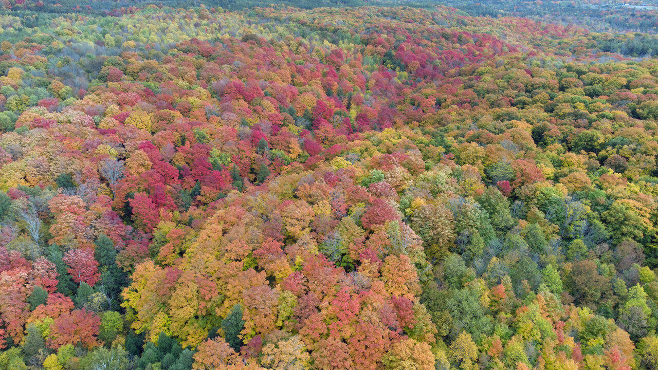 DJI_0507e.jpg
